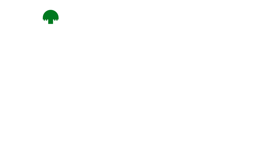 Yellow Run 2026